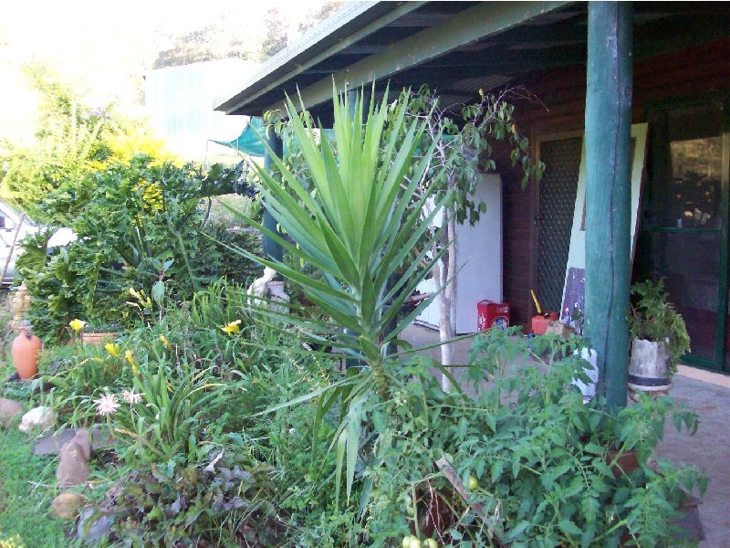 Collins Creek NSW 2474