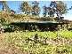 Collins Creek NSW 2474