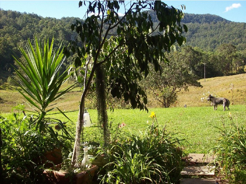 Collins Creek NSW 2474