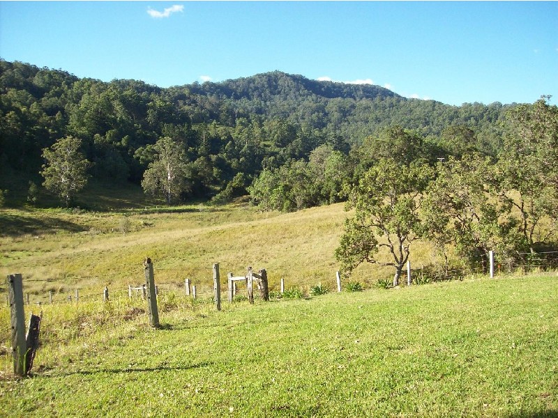 Collins Creek NSW 2474