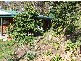 Collins Creek NSW 2474