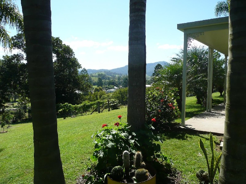 Wiangaree NSW 2474