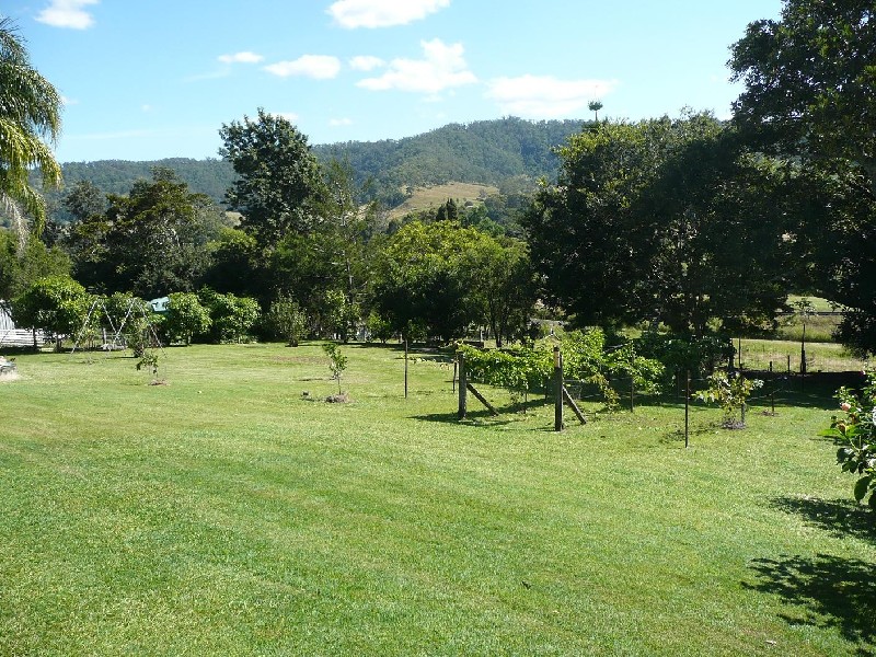 Wiangaree NSW 2474