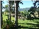 Wiangaree NSW 2474