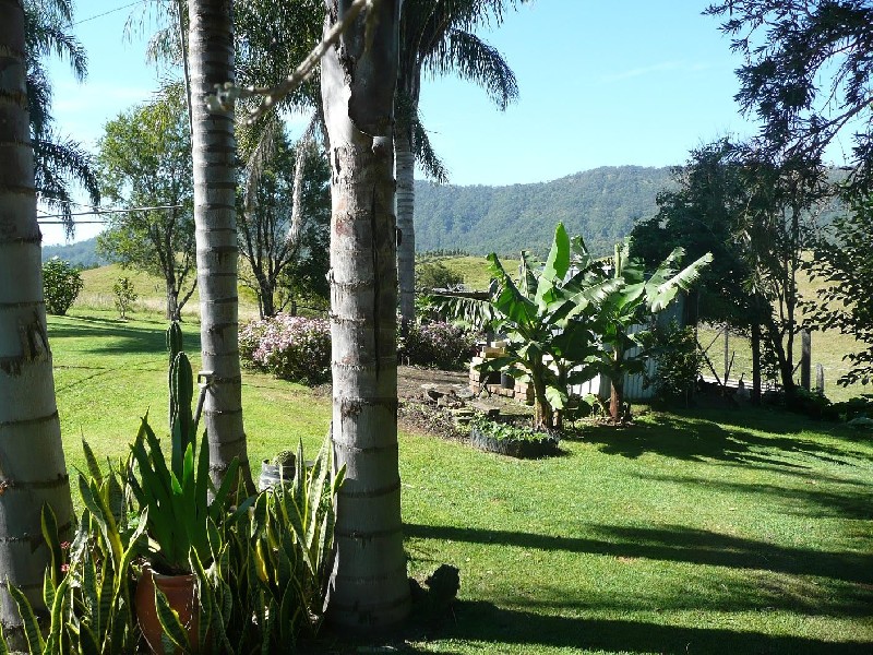 Wiangaree NSW 2474