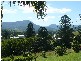 Wiangaree NSW 2474
