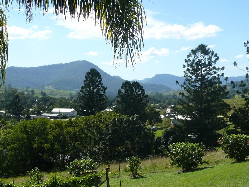 Wiangaree NSW 2474