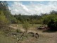 Lot 162 Emu Creek Rd, Tabulam NSW 2469