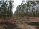 Lot 163 Paddys Flat Rd, Tabulam NSW 2469