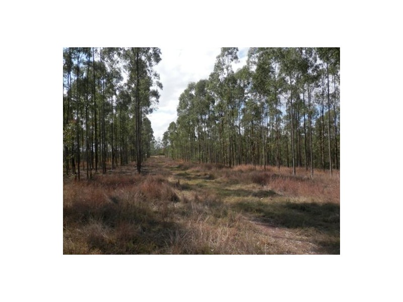 Lot 163 Paddys Flat Rd, Tabulam NSW 2469