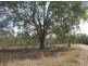 Lot 163 Paddys Flat Rd, Tabulam NSW 2469