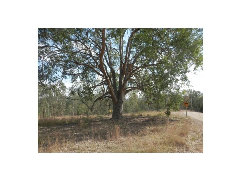 Lot 163 Paddys Flat Rd, Tabulam NSW 2469