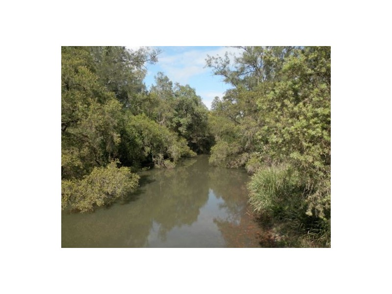 Lot 163 Paddys Flat Rd, Tabulam NSW 2469