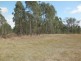 Lot 163 Paddys Flat Rd, Tabulam NSW 2469