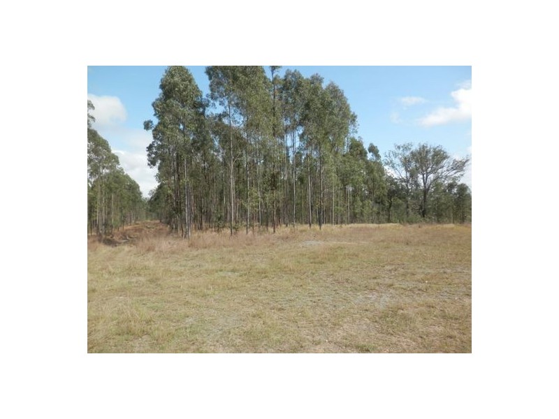 Lot 163 Paddys Flat Rd, Tabulam NSW 2469