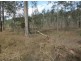 Lot 163 Paddys Flat Rd, Tabulam NSW 2469