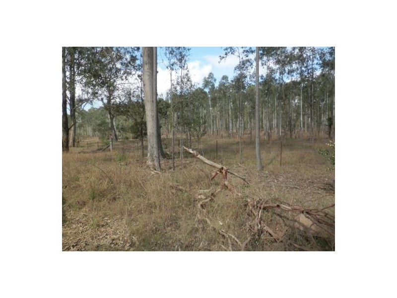 Lot 163 Paddys Flat Rd, Tabulam NSW 2469