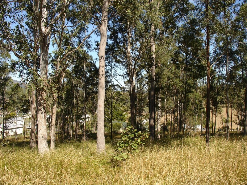 Bonalbo NSW 2469