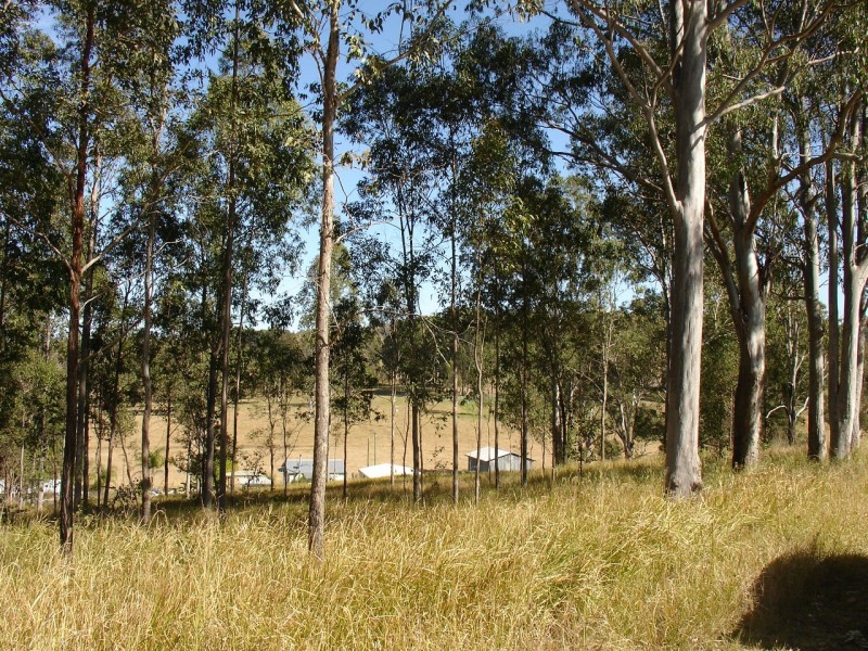 Bonalbo NSW 2469