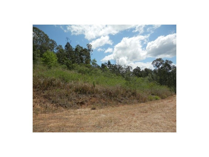 Lot 9, 1534 Paddys Flat Rd, Tabulam NSW 2469