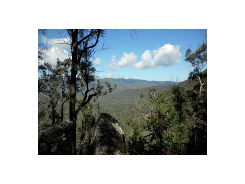 Lot 8 Long Gully Rd, Drake NSW 2469