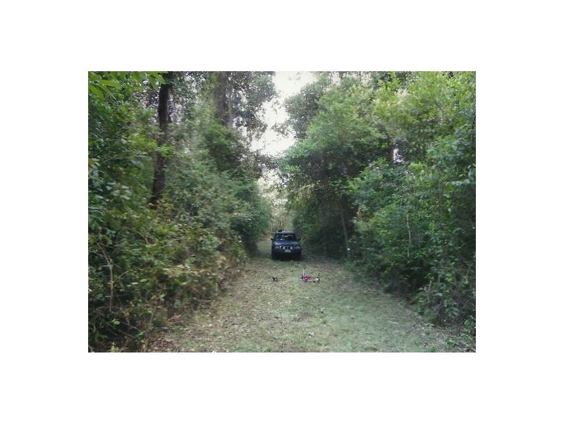 Lot 8 Long Gully Rd, Drake NSW 2469