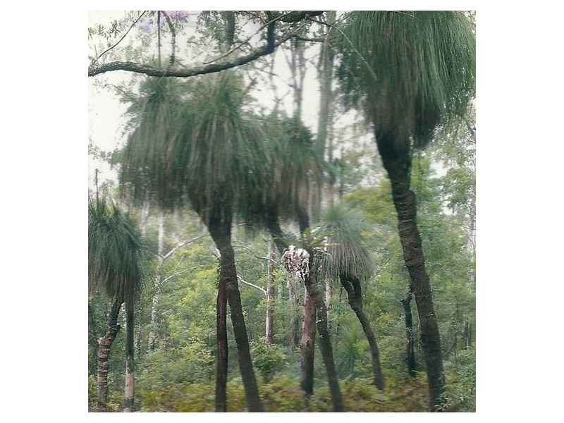 Lot 8 Long Gully Rd, Drake NSW 2469