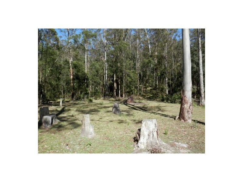Lot 8 Long Gully Rd, Drake NSW 2469