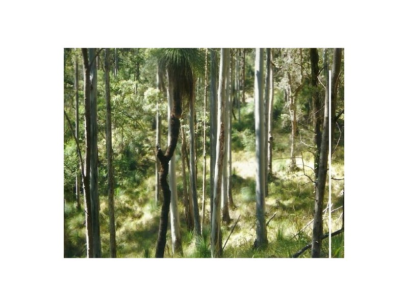 Lot 8 Long Gully Rd, Drake NSW 2469