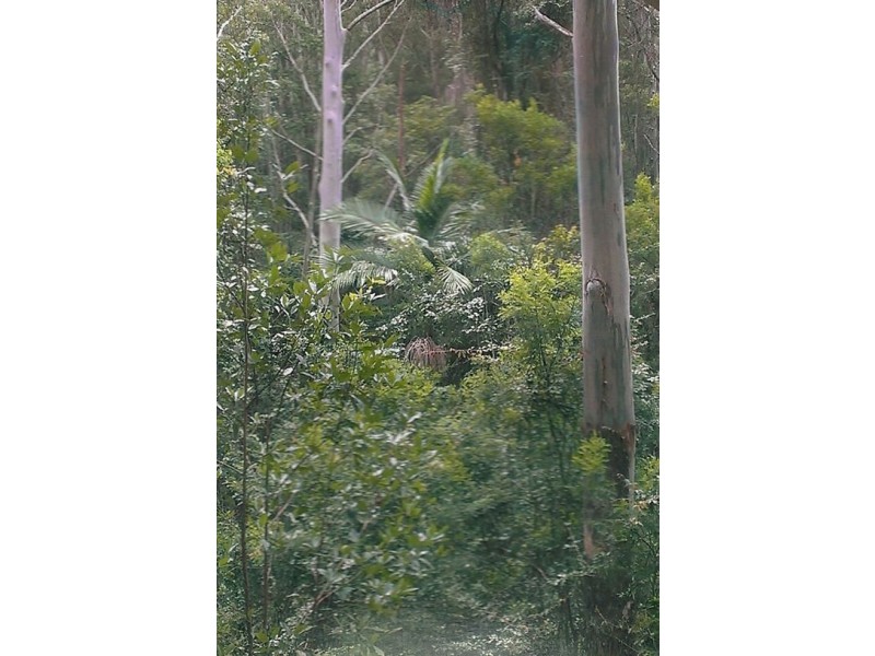 Lot 8 Long Gully Rd, Drake NSW 2469