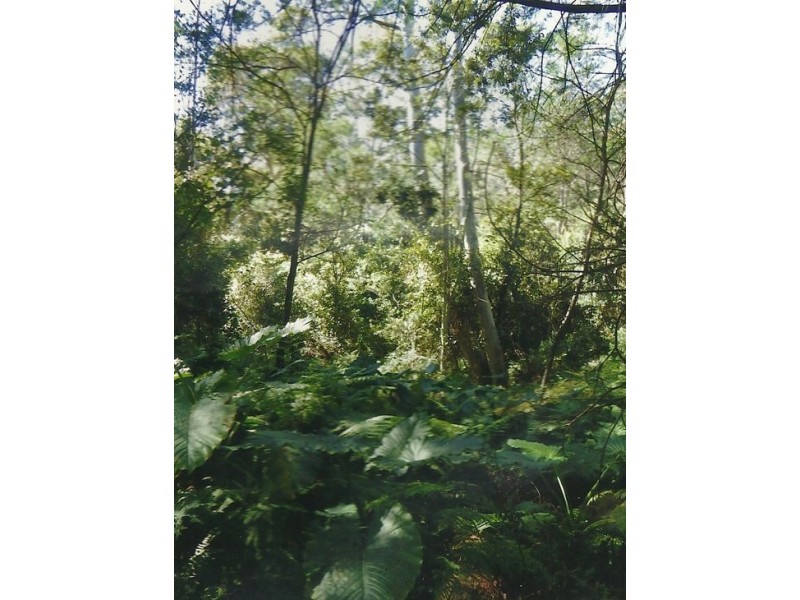 Lot 8 Long Gully Rd, Drake NSW 2469