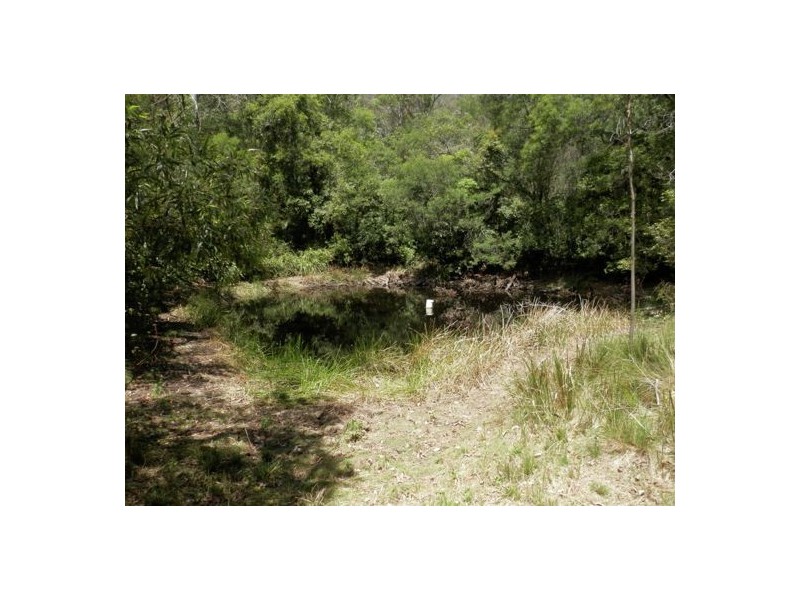 Lot 8 Long Gully Rd, Drake NSW 2469