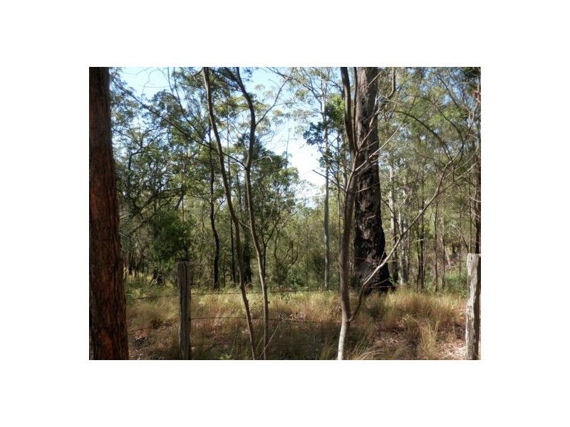 Lot 8 Long Gully Rd, Drake NSW 2469