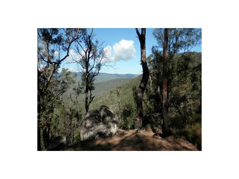 Lot 8 Long Gully Rd, Drake NSW 2469
