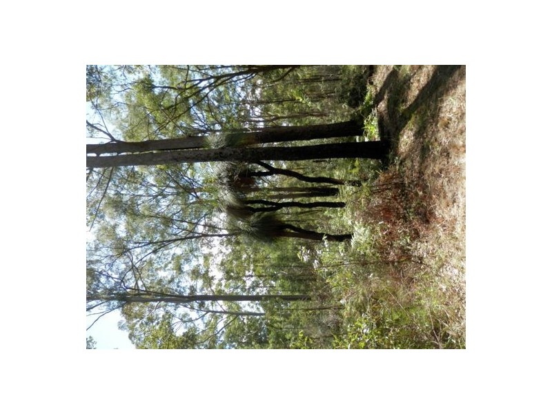 Lot 8 Long Gully Rd, Drake NSW 2469