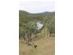 2339 Rivertree Road Rivertree Via, Stanthorpe QLD 4380