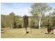 2282 Rivertree Road Rivertree Via, Stanthorpe QLD 4380