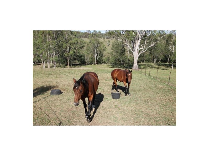 2282 Rivertree Road Rivertree Via, Stanthorpe QLD 4380