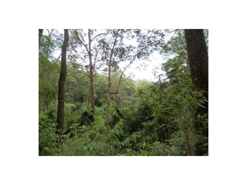 Lot 3 Mud Flat Rd, Drake NSW 2469