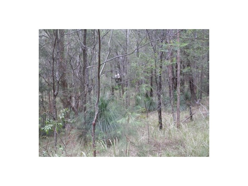 Lot 3 Mud Flat Rd, Drake NSW 2469