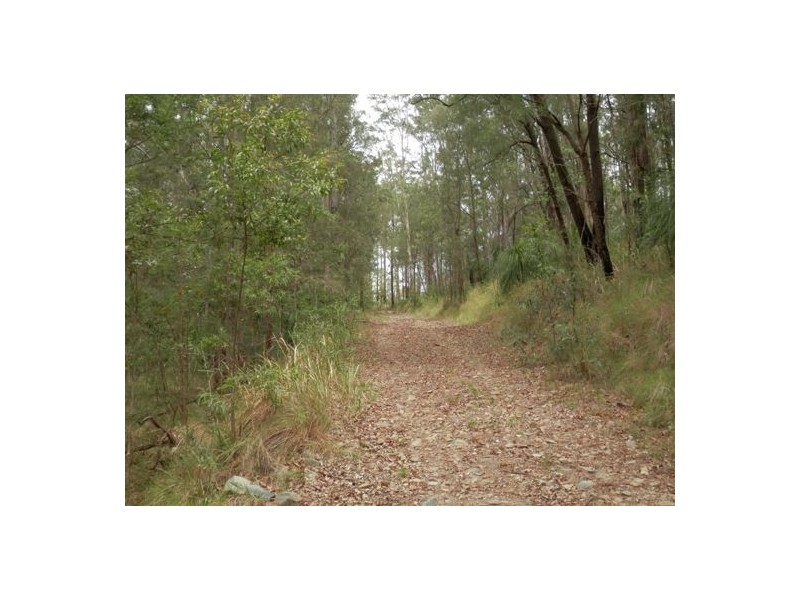 Lot 3 Mud Flat Rd, Drake NSW 2469