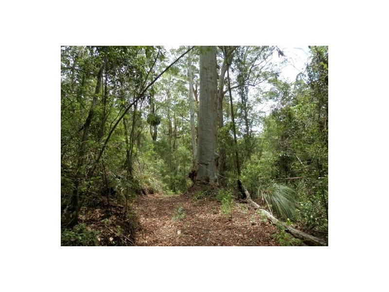 Lot 3 Mud Flat Rd, Drake NSW 2469