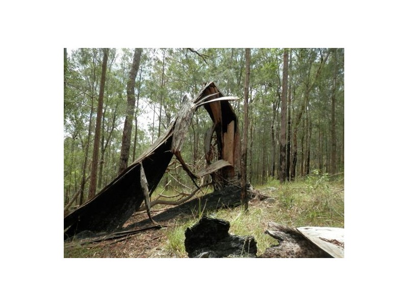 Lot 3 Mud Flat Rd, Drake NSW 2469