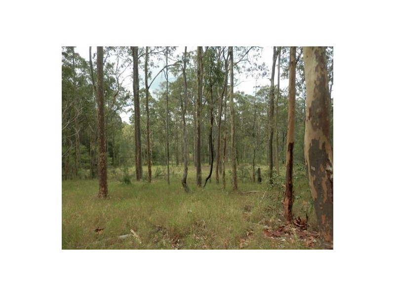 Lot 3 Mud Flat Rd, Drake NSW 2469