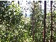 Kyogle NSW 2474