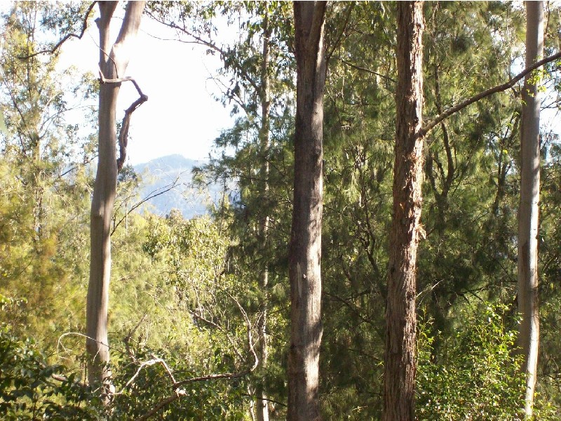 Kyogle NSW 2474