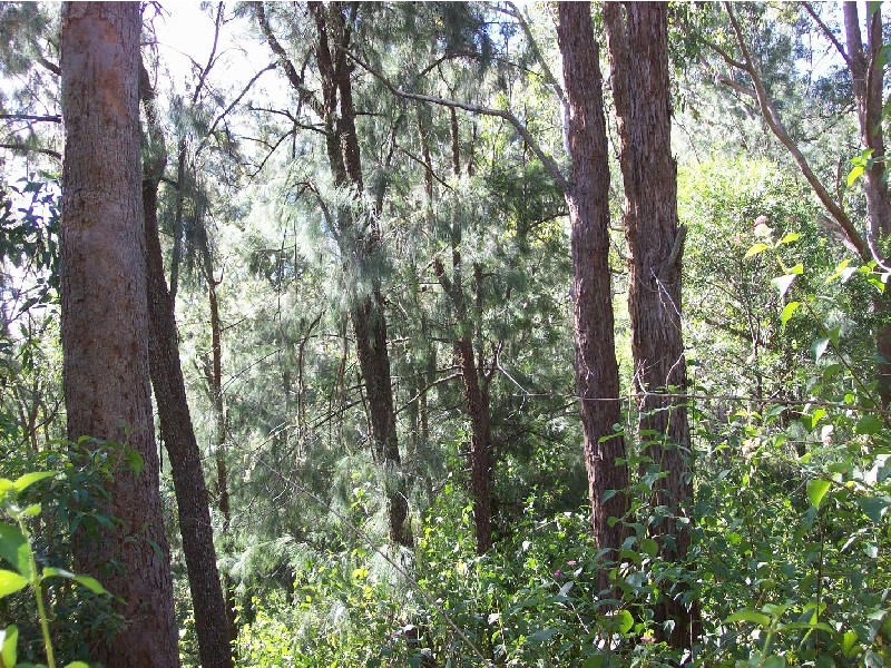 Kyogle NSW 2474