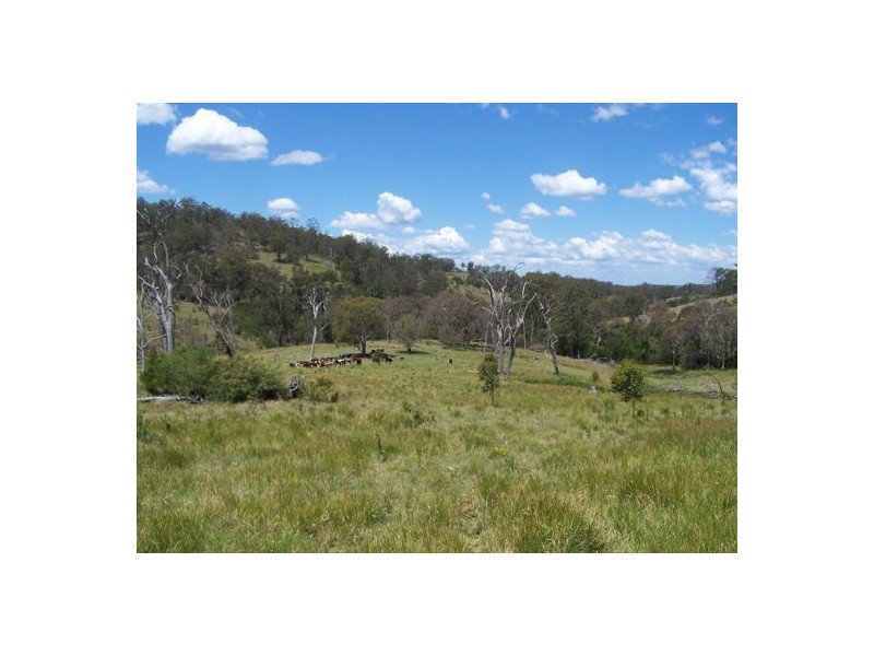 Razorback Creek, Rivertree NSW 2372