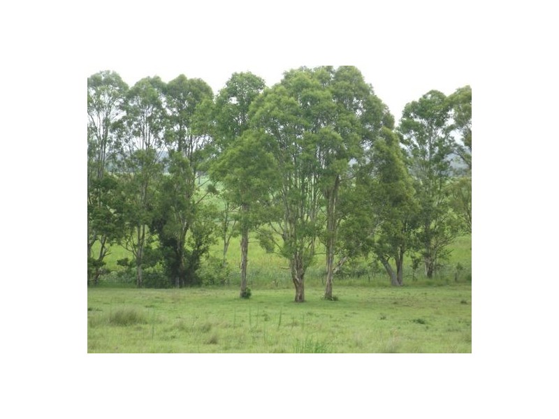 350 Brookers Road Shannon Brook, Casino NSW 2470