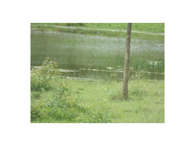 350 Brookers Road Shannon Brook, Casino NSW 2470